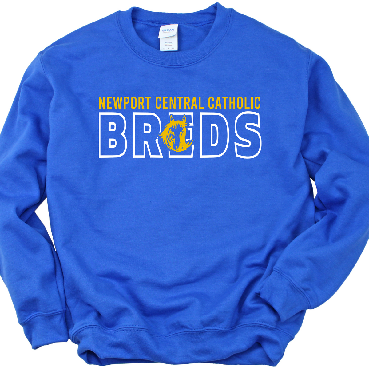 NCC Thoroughbreds