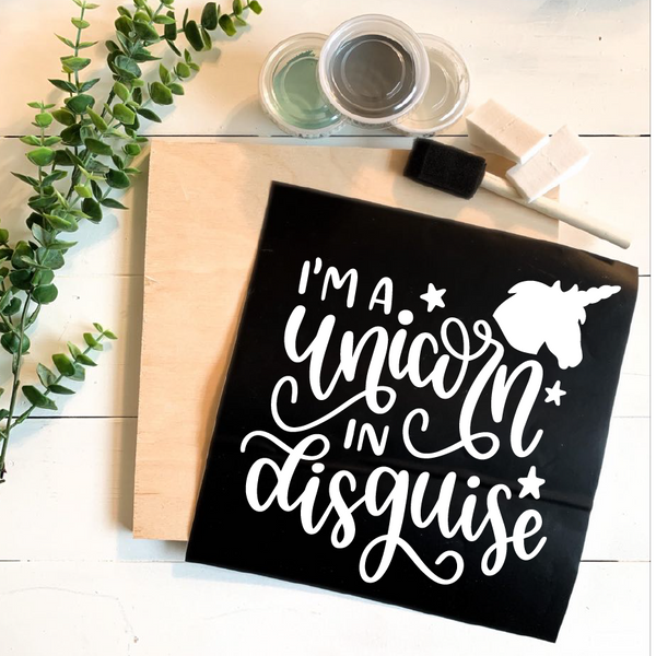 Diy Kit-Unicorn In Disguise