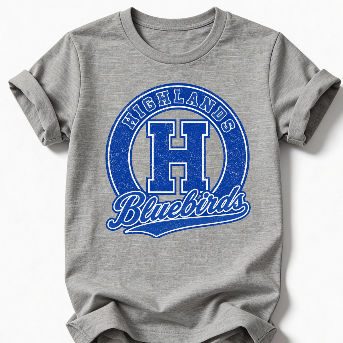 Bluebirds Circle Distressed- GRAY