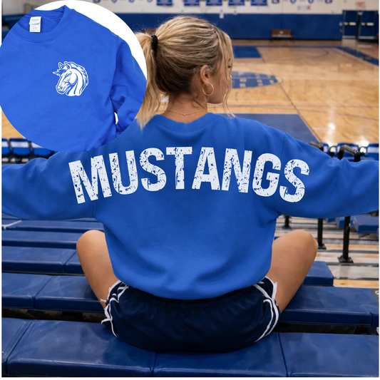 Mustangs Back