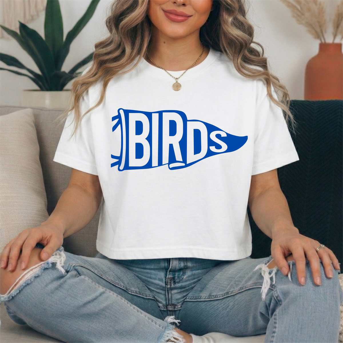 Royal Birds Pennant Comfort Colors Boxy Tee