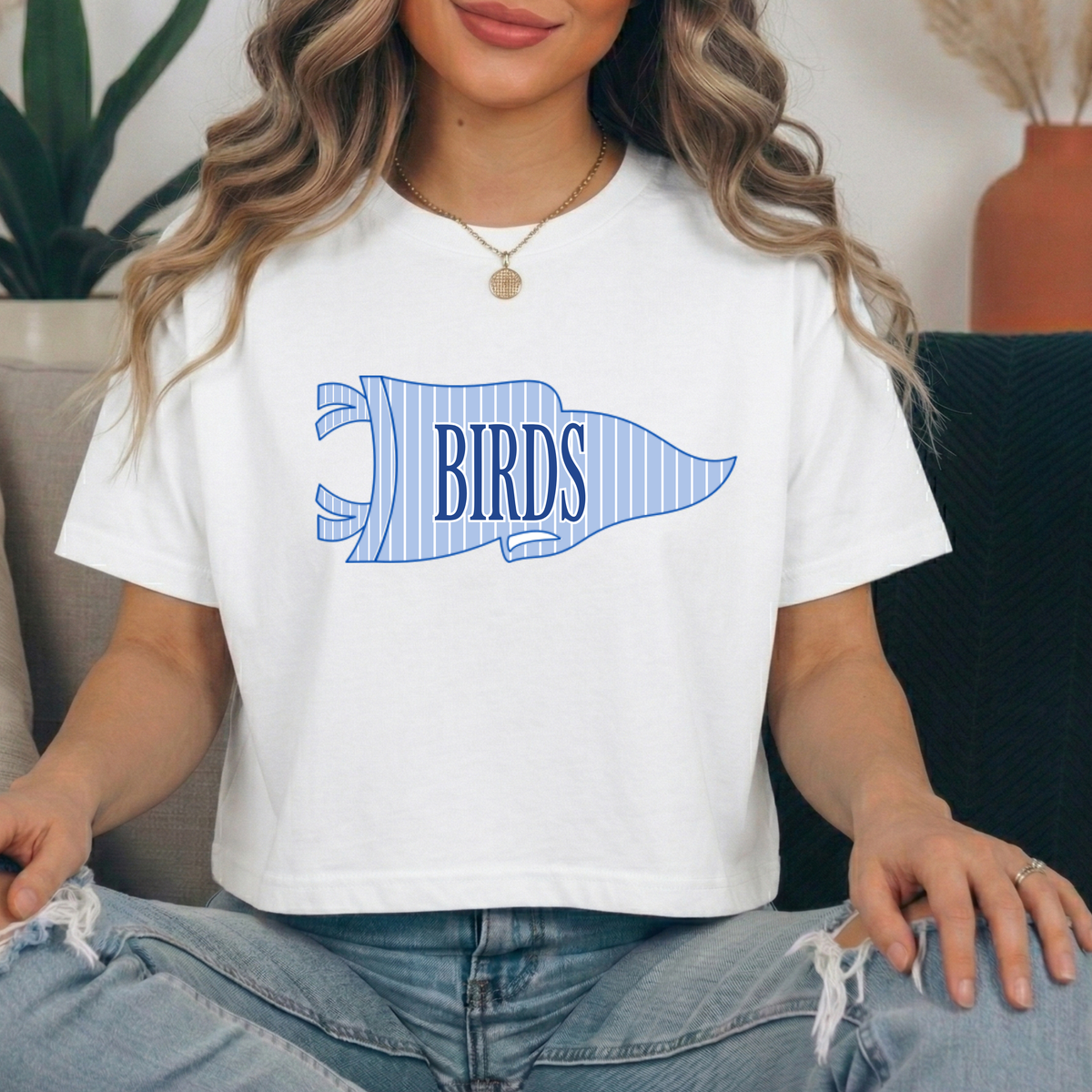 Birds Striped Pennant Comfort Colors Boxy Tee