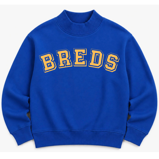 Breds Solid Blue Mock Neck- Preorder