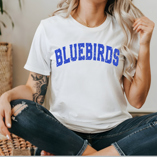 Bluebirds Arched Distressed- WHITE