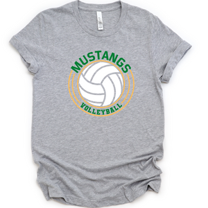 Mustangs Volleyball