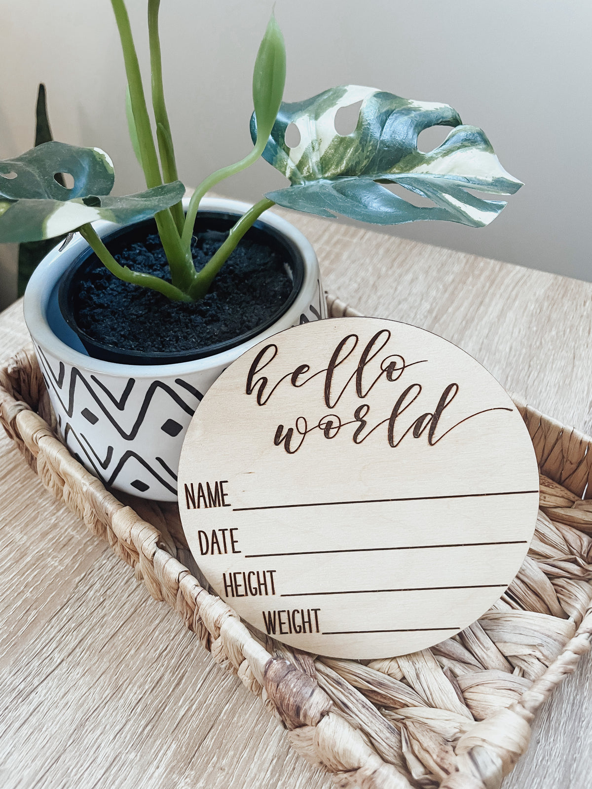 Hello World Baby Stats Circle