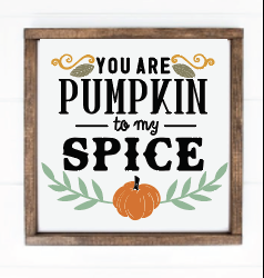 You are pumpkin to my spice