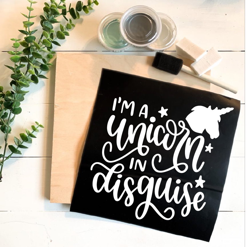 Diy Kit-Unicorn In Disguise